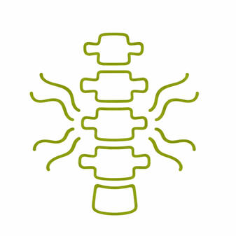 Nerve & Spine